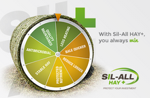 Cargar imagen en el visor de la galería, SILL-ALL