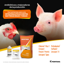 Cargar imagen en el visor de la galería, ENROPRO