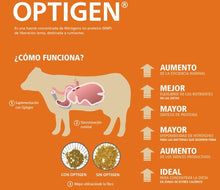 Cargar imagen en el visor de la galería, OPTIGEN

