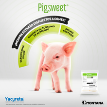 Cargar imagen en el visor de la galería, PIG SWEET
